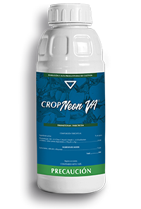 Crop Neon Va